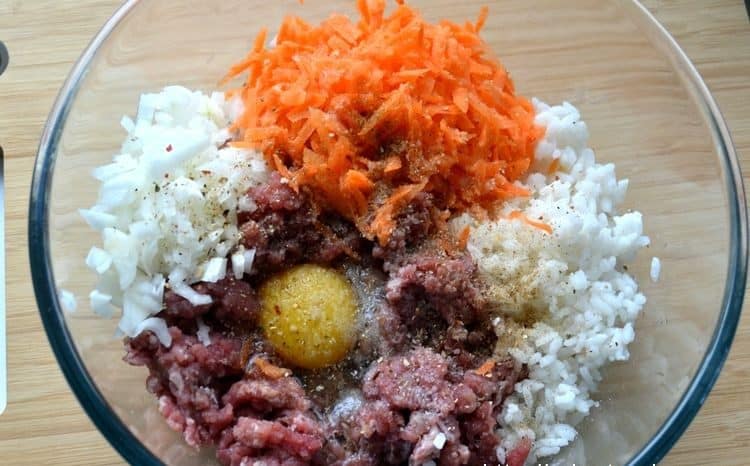 Հյութեղ կոլոլակներ