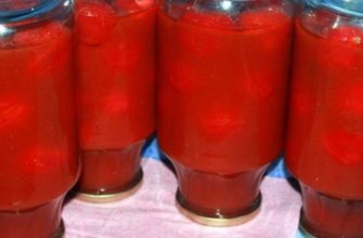 Լոլիկը տոմատի հյութում