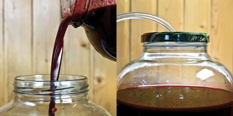 Հաղարջի գինի.
