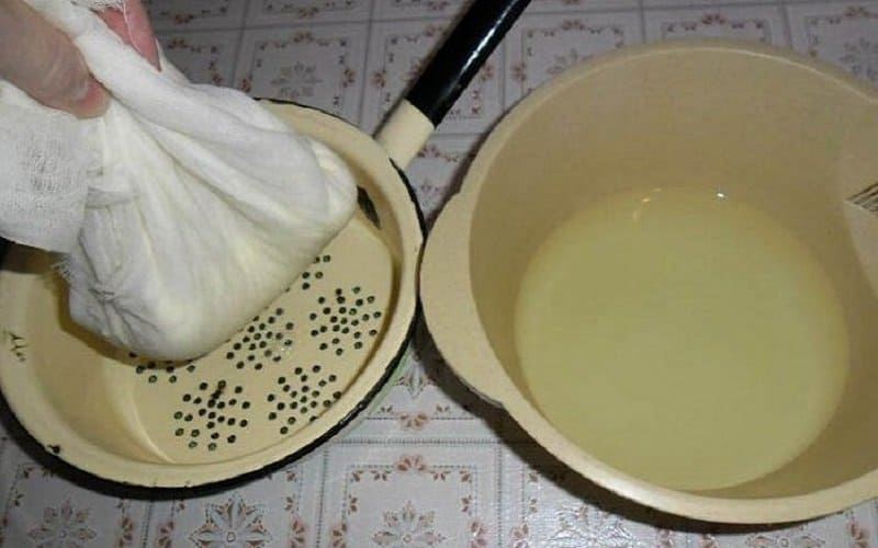 Թթվասեր մածունից