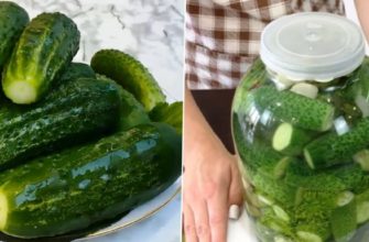 Խրթխրթան թթու վարունգ