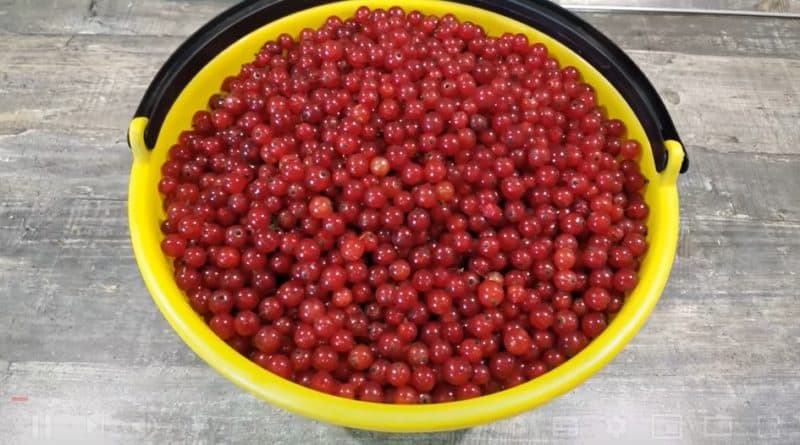 Հաղարջի մուրաբա