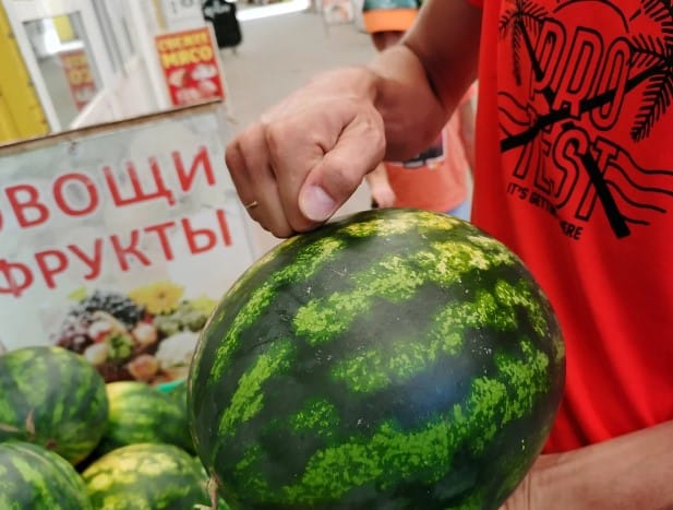Ինչպես ընտրել քաղցր ձմերուկ