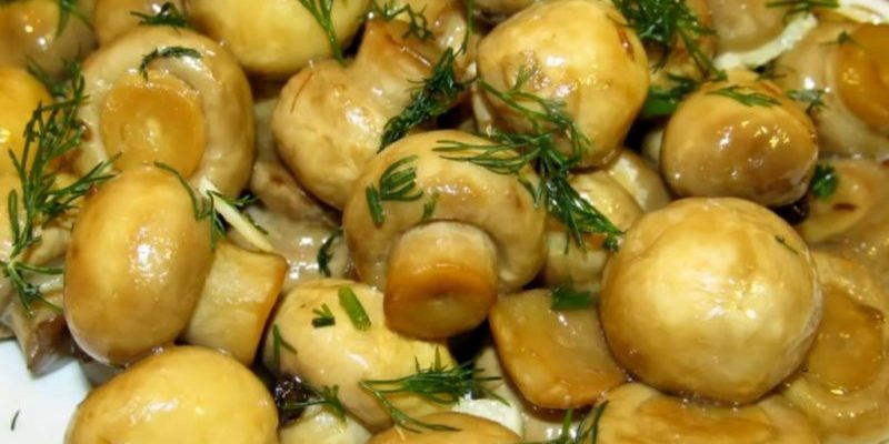 Թթու շամպինիոններ