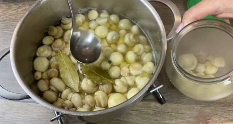 Մարինացված շամպինիոններ