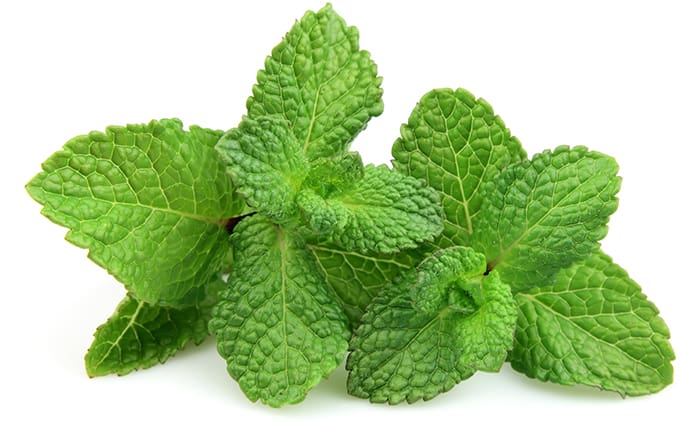 Լիմոնադ լայմով