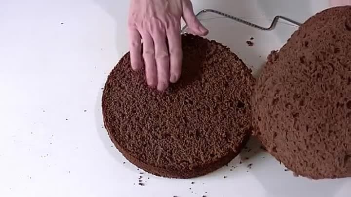Տորթ Մեղեդի