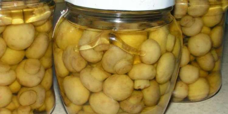 Սնկով աղցան