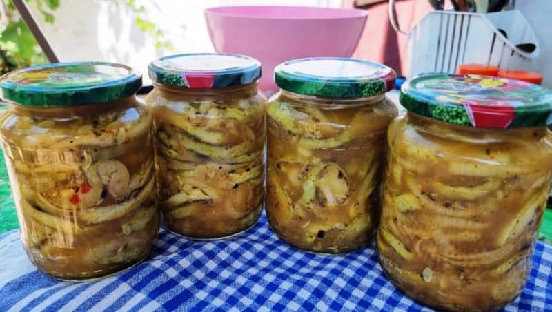 Դդմիկով աղցան պահածո