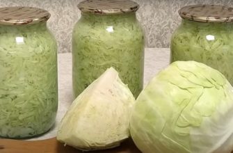 Թարմ կաղամբ