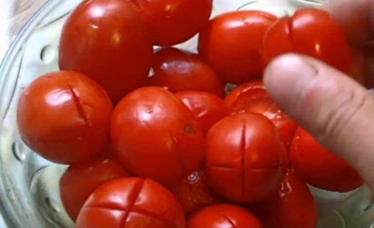Լոլիկով նախուտեստ
