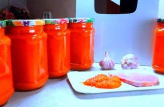 Դդմիկով աջիկա