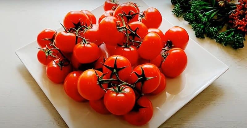 Թարմ լոլիկ