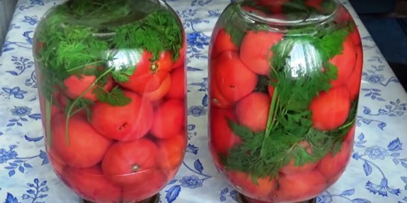 Լոլիկը գազարի ճյուղերով