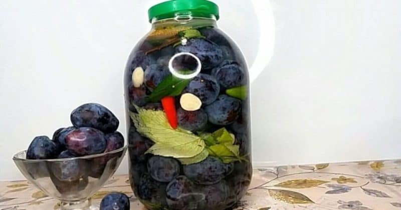 Թթու դրած սալոր