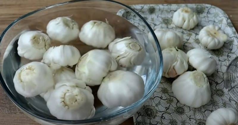 Սխտորի թթու